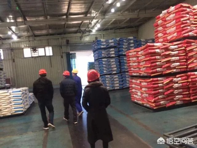 安徽猪饲料排名