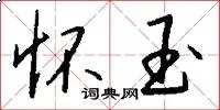 怀玉