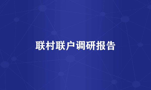 联村联户调研报告
