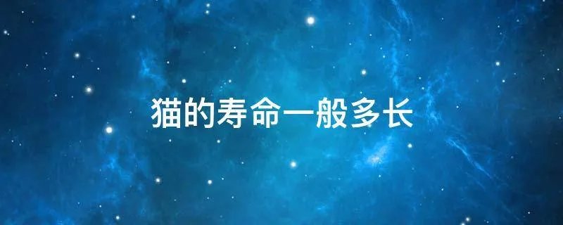 猫的寿命一般多长
