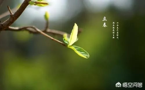 农村俗语“七年难逢九月闰,百年难逢初一春”,是什么意思?