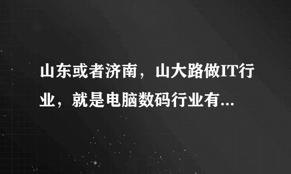 山东或者济南，山大路做IT行业，就是电脑数码行业有没有比较大的批发、调货、qq群啊？给推荐几个，谢谢！