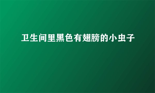 卫生间里黑色有翅膀的小虫子