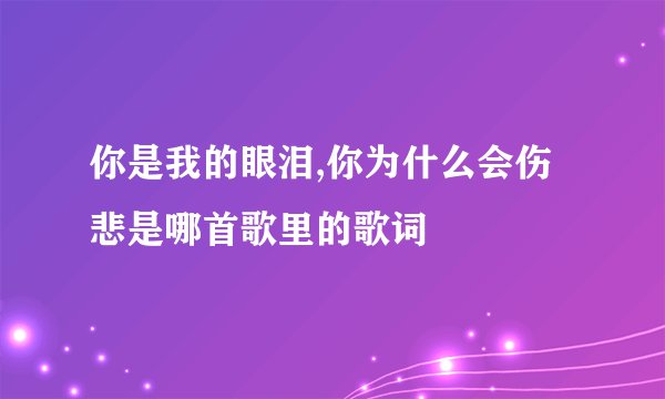 你是我的眼泪,你为什么会伤悲是哪首歌里的歌词
