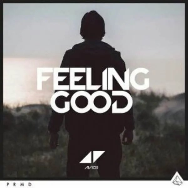 Feeling Good的歌曲简介
