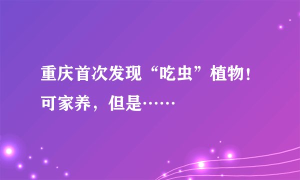 重庆首次发现“吃虫”植物！可家养，但是……