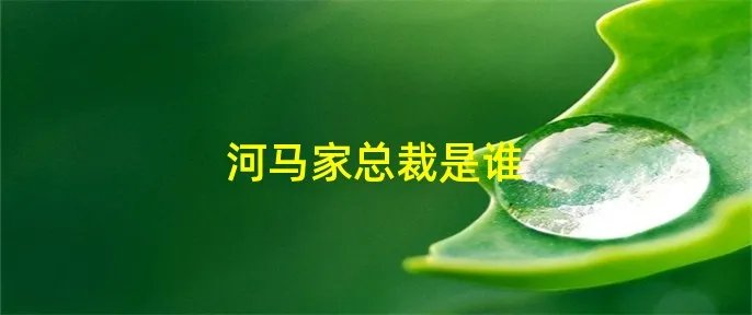 河马家总裁是谁
