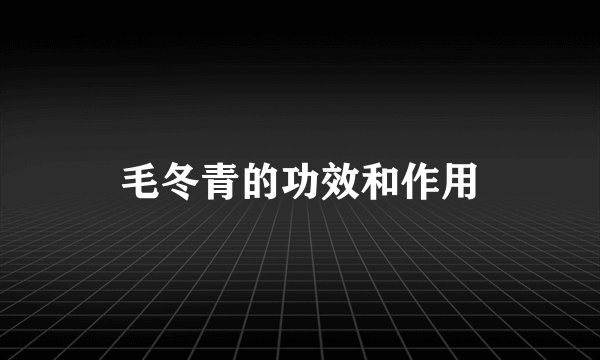 毛冬青的功效和作用