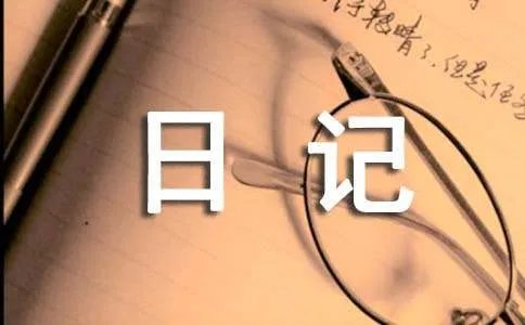 给我爱的你日记