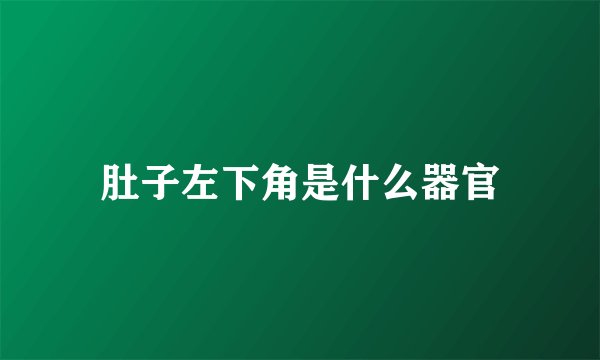 肚子左下角是什么器官
