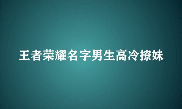 王者荣耀名字男生高冷撩妹