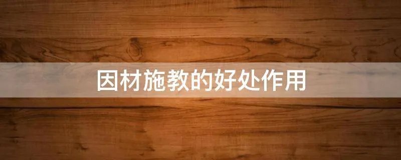因材施教的好处作用
