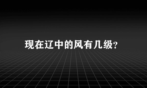 现在辽中的风有几级？