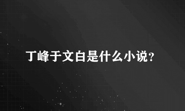 丁峰于文白是什么小说？