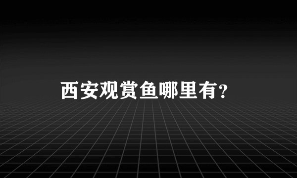 西安观赏鱼哪里有？