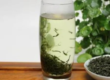 竹叶青专卖店中的宝顶雪芽和重庆的永川秀芽有什么区别?