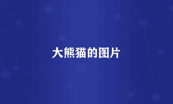 大熊猫的图片