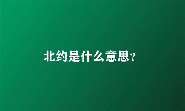 北约是什么意思？