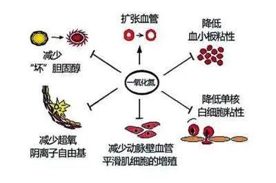 一氧化氮有什么作用?