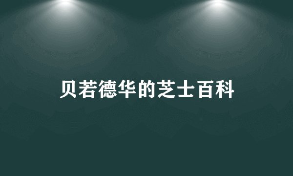 贝若德华的芝士百科