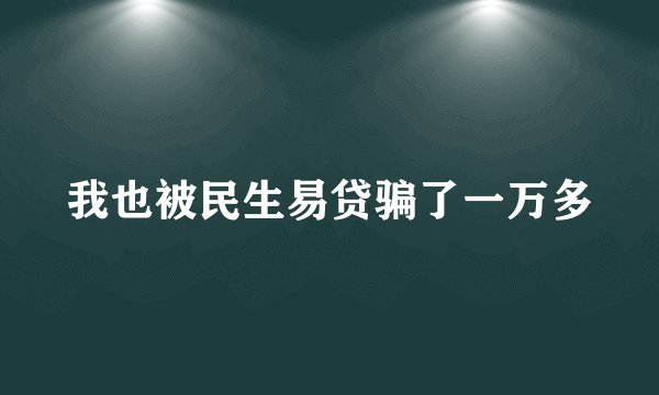 我也被民生易贷骗了一万多