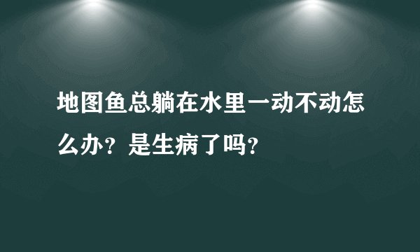 地图鱼总躺在水里一动不动怎么办？是生病了吗？