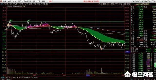 分时图强势选股法能买入当天就涨停的股票吗?为什么?