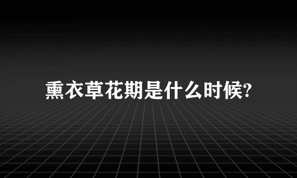 熏衣草花期是什么时候?
