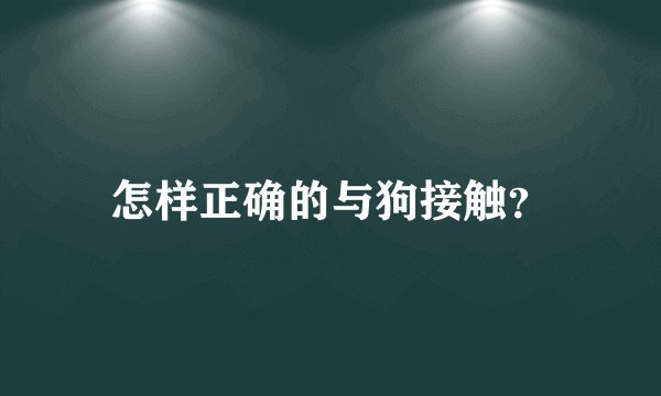 怎样正确的与狗接触？