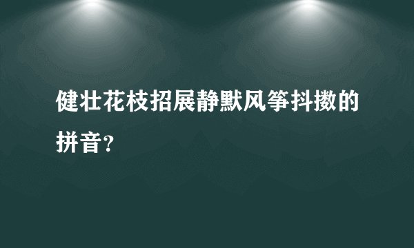 健壮花枝招展静默风筝抖擞的拼音？