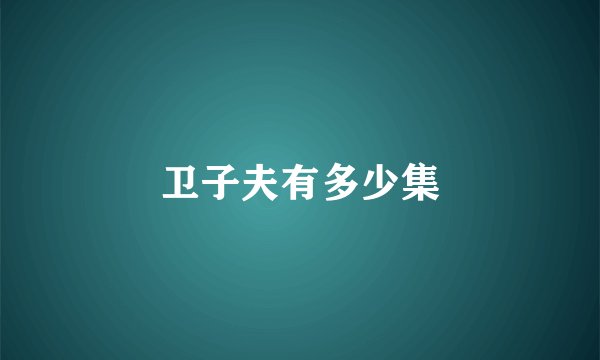 卫子夫有多少集