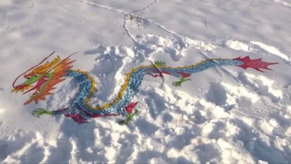 高手!东北大叔雪地画老虎吓野猪,为何会遭到网友的调侃?