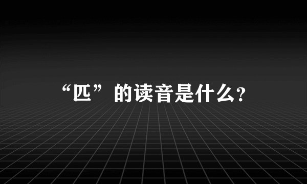 “匹”的读音是什么？