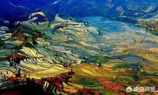 云南哈尼梯田的特点
