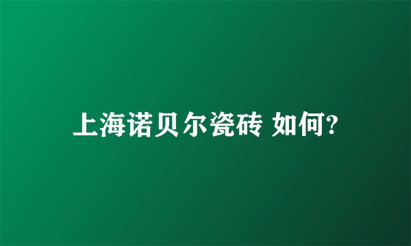 上海诺贝尔瓷砖 如何?