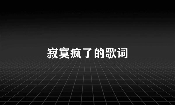寂寞疯了的歌词