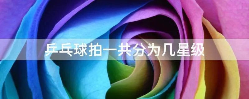 乒乓球拍一共分为几星级
