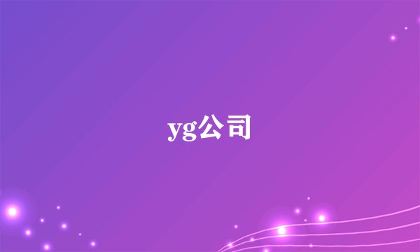 yg公司