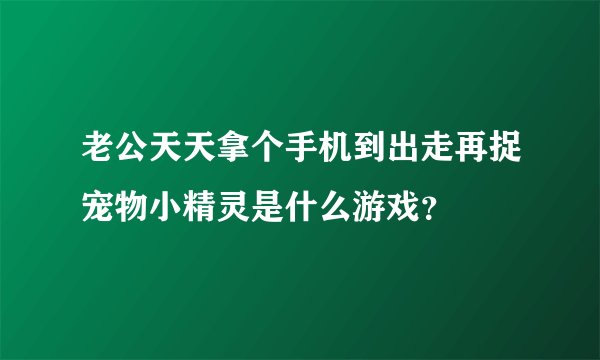 老公天天拿个手机到出走再捉宠物小精灵是什么游戏？