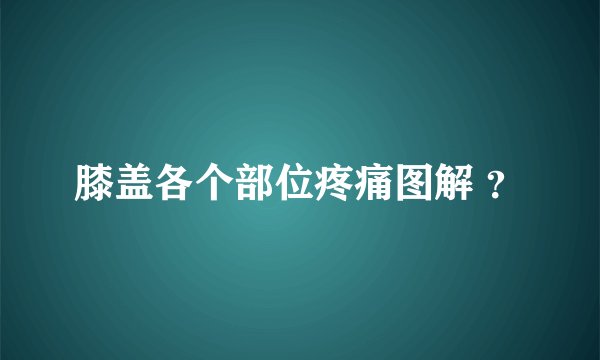 膝盖各个部位疼痛图解 ？