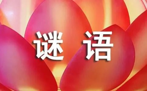 猜成语谜语及答案