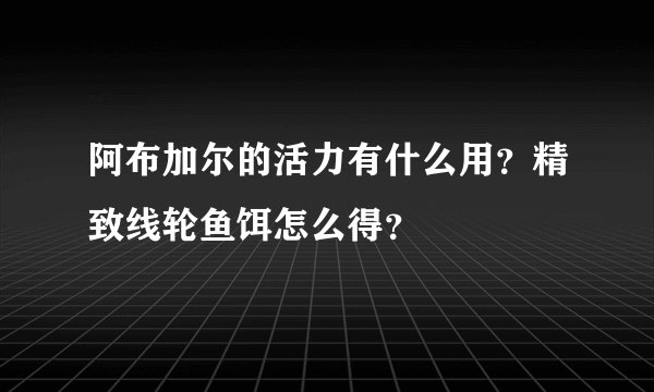 阿布加尔的活力有什么用？精致线轮鱼饵怎么得？