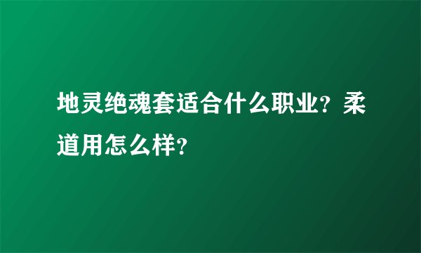 地灵绝魂套适合什么职业？柔道用怎么样？