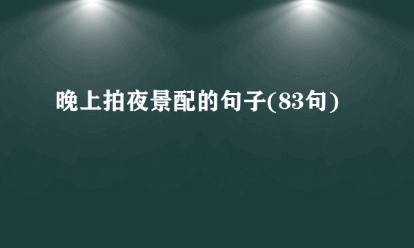 晚上拍夜景配的句子(83句)