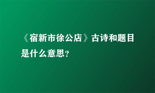 《宿新市徐公店》古诗和题目是什么意思？