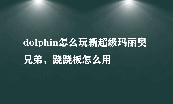 dolphin怎么玩新超级玛丽奥兄弟，跷跷板怎么用