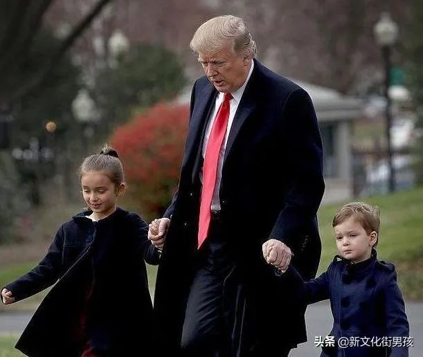 怎么看待特朗普因丹麦拒绝出售格陵兰岛而恼羞成怒,指责丹麦上缴的北约军事费不足呢?