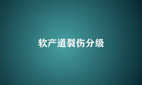 软产道裂伤分级
