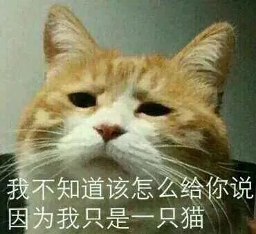 刘恺威是一个不入流的TVB小明星吗?