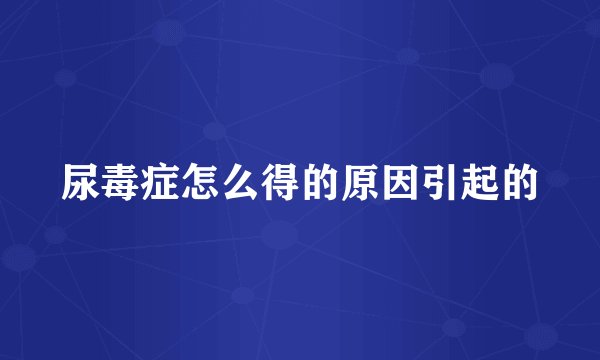 尿毒症怎么得的原因引起的
